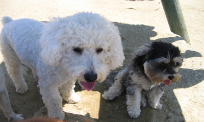 Soffie & Maddie